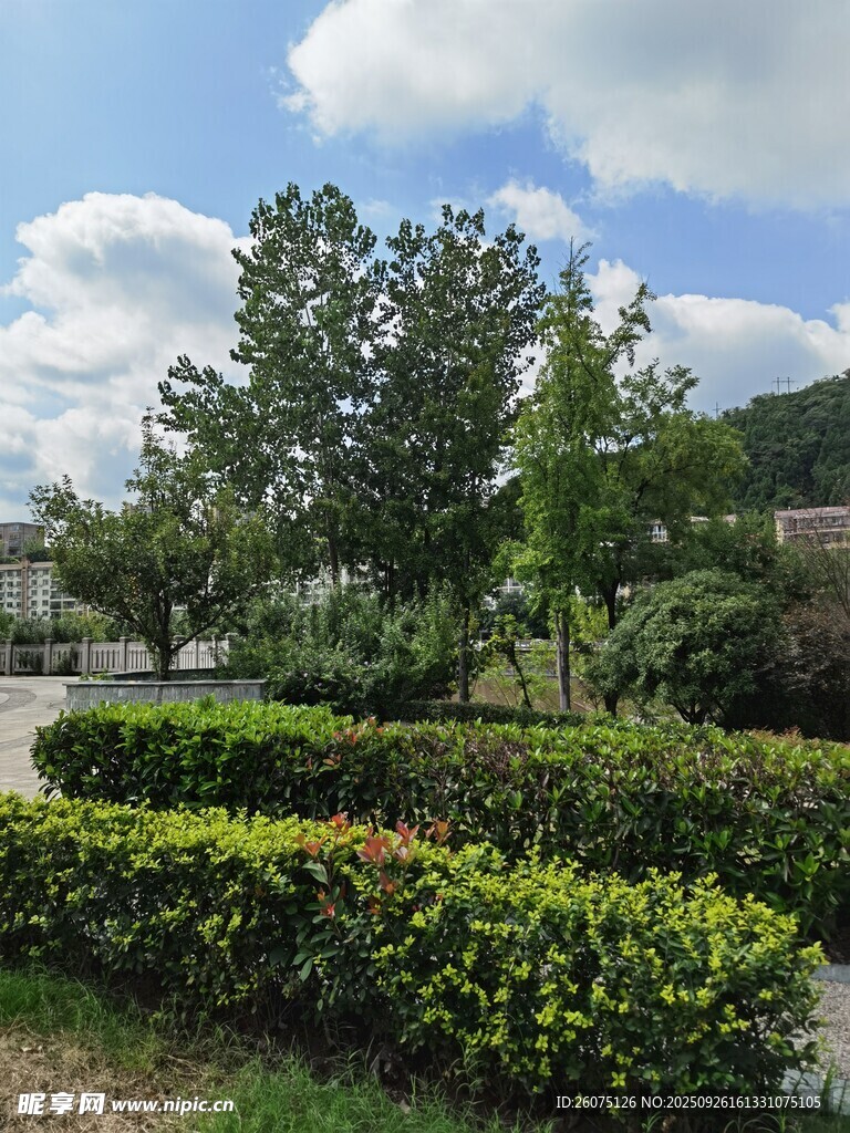 户外绿植景观蓝天白云