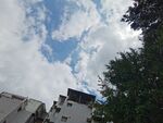 蓝天白云下的建筑与树木