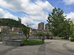 城市河畔景观绿树高楼