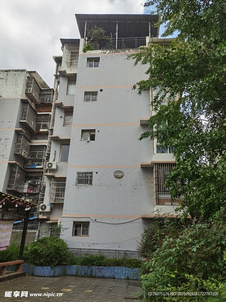 老旧居民楼旁绿植环绕