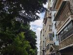 城市中绿树旁的居民楼
