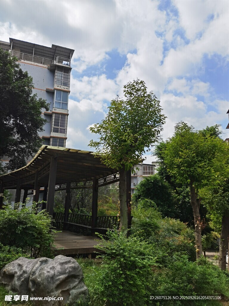 庭院中的亭台与绿植景观