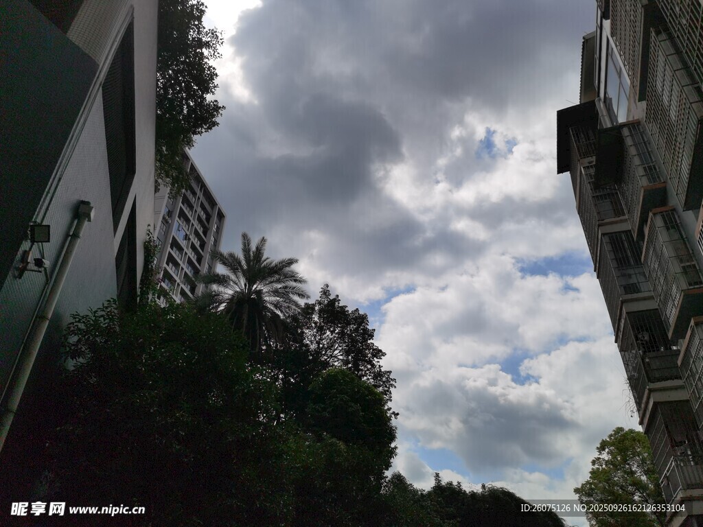 楼宇间的天空与繁茂绿植