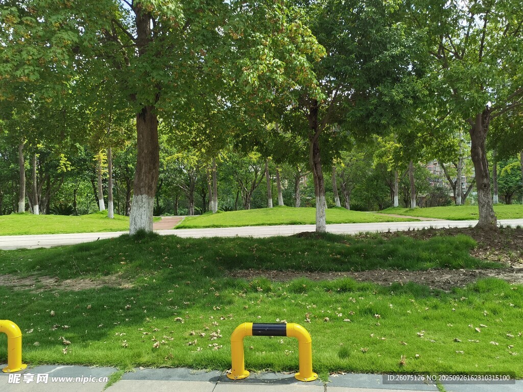 公园绿意盎然的休闲场景