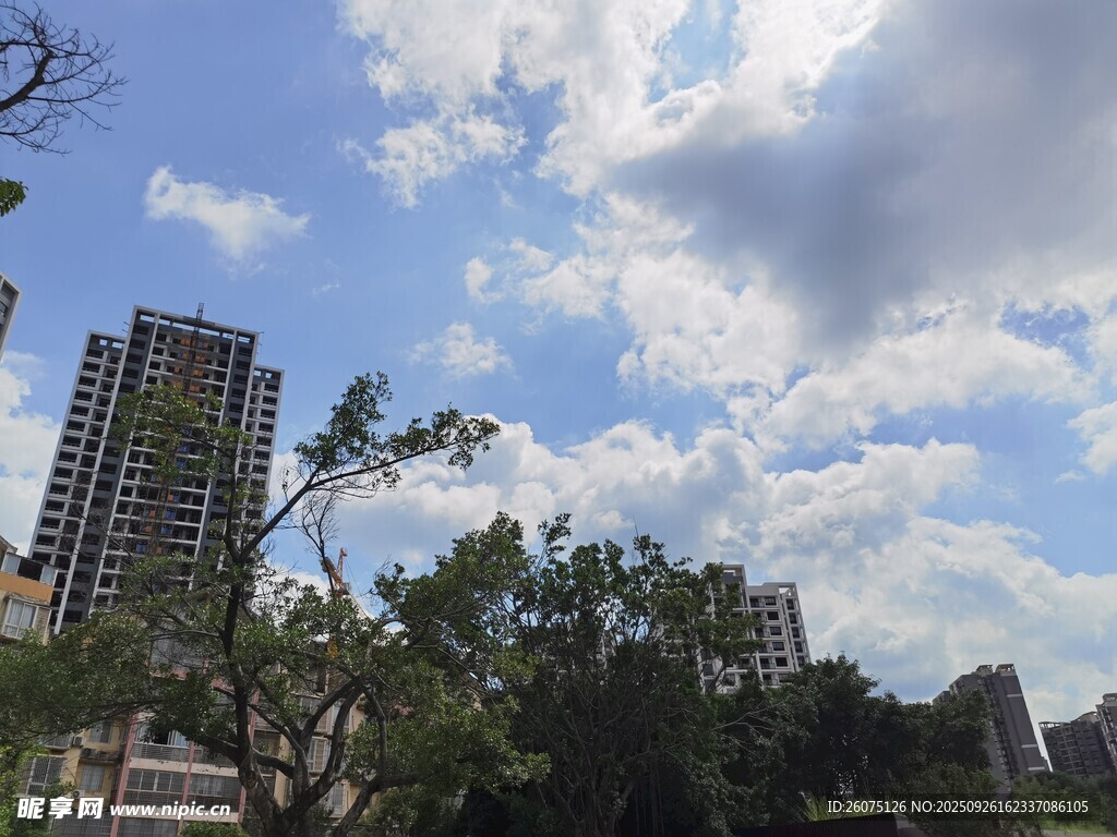 城市上空蓝天白云绿树景