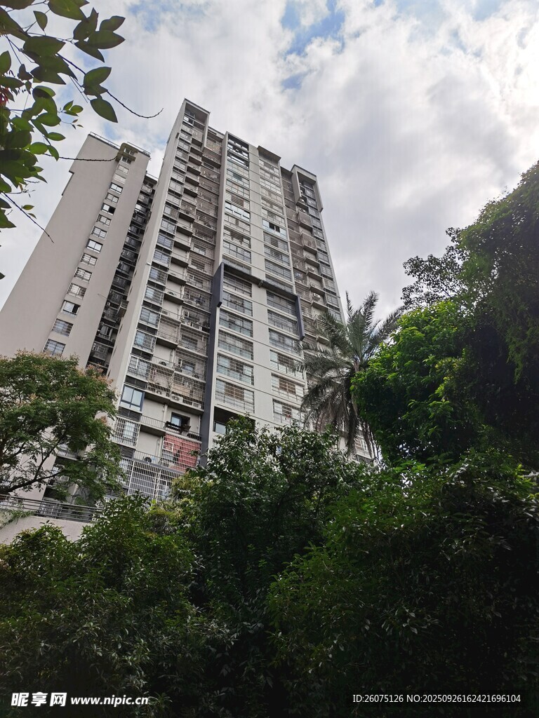 高楼林立于葱郁绿植间