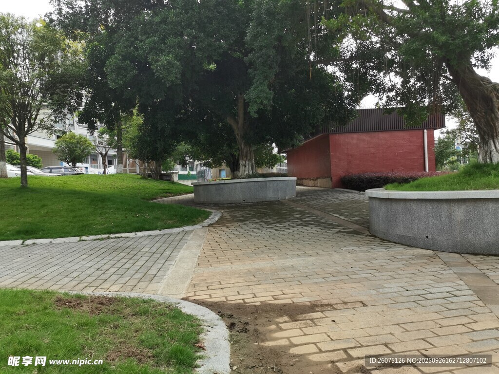 公园中的砖石步道与绿植