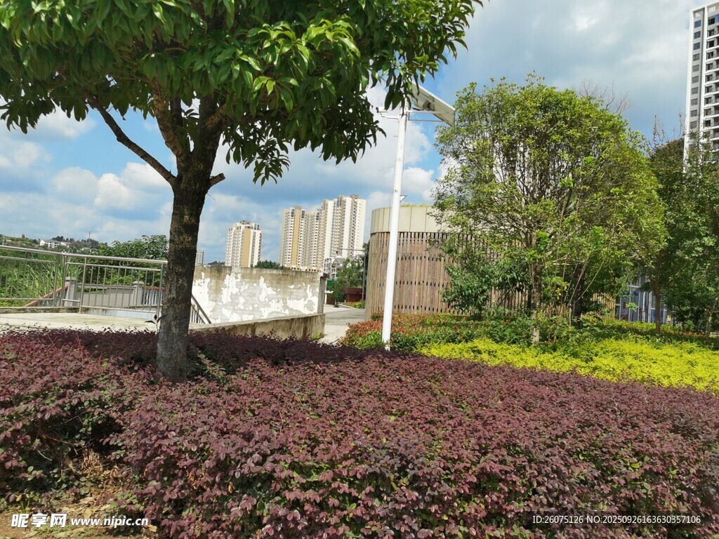 城市公园多彩植物景观