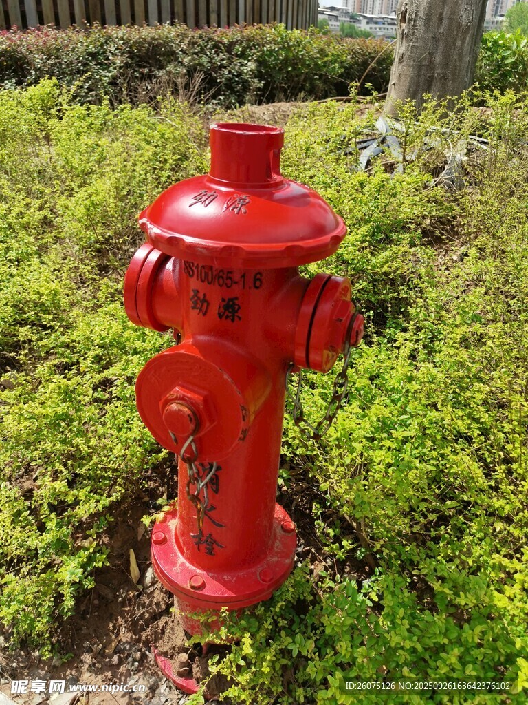 红色消防栓立于绿植间