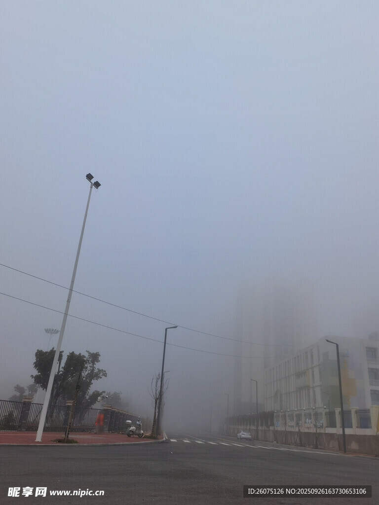 大雾弥漫的城市街道
