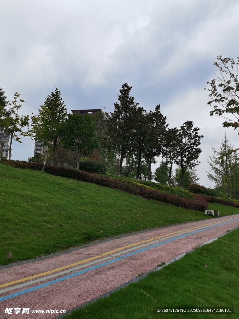彩色步道旁的绿意景观