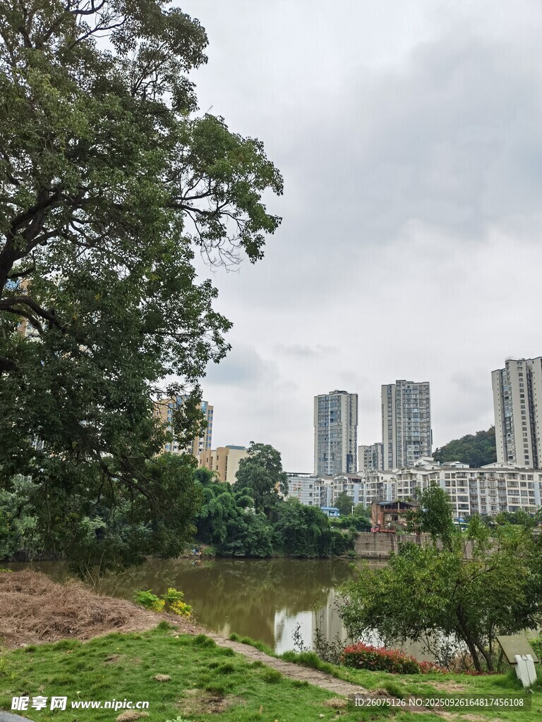 城市中的自然景观与建筑