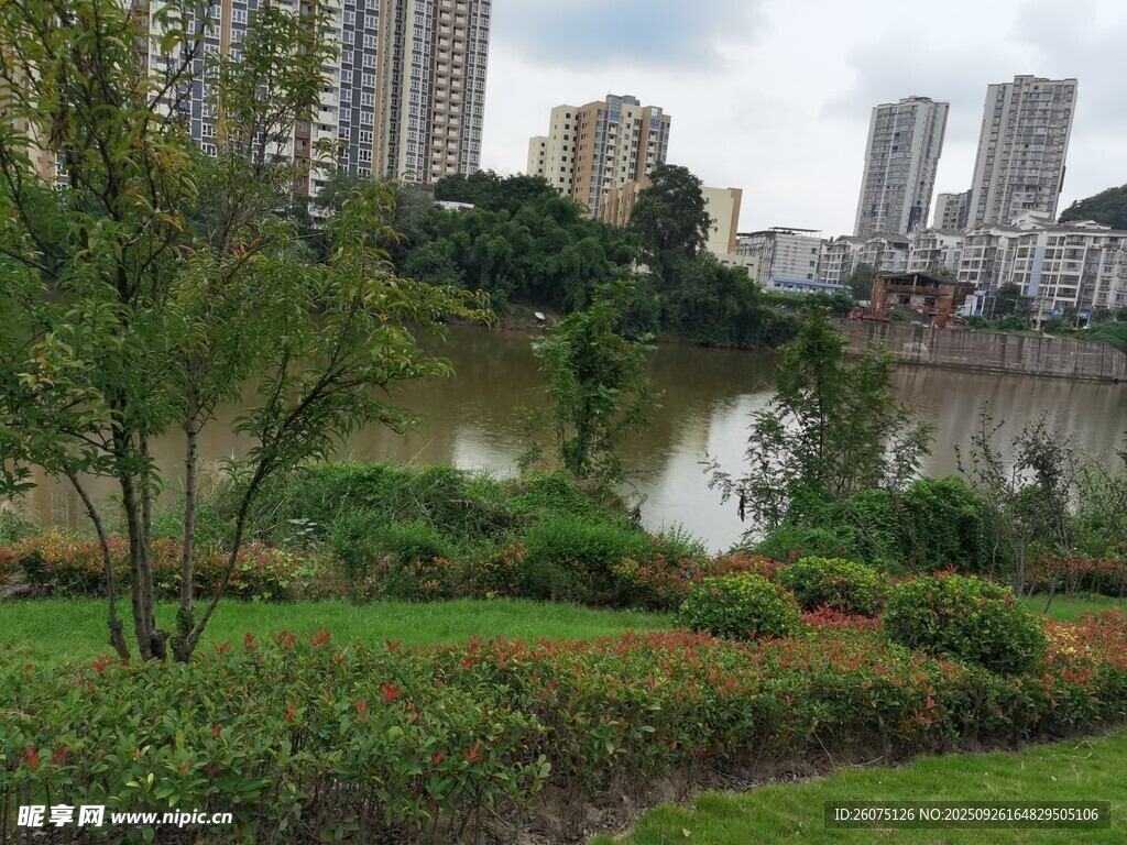 城市河畔绿植环绕美景