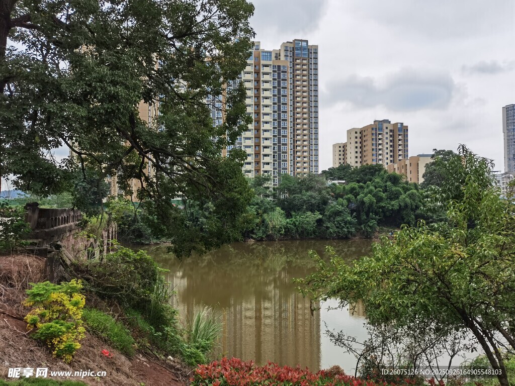 城市河畔绿植环绕景致