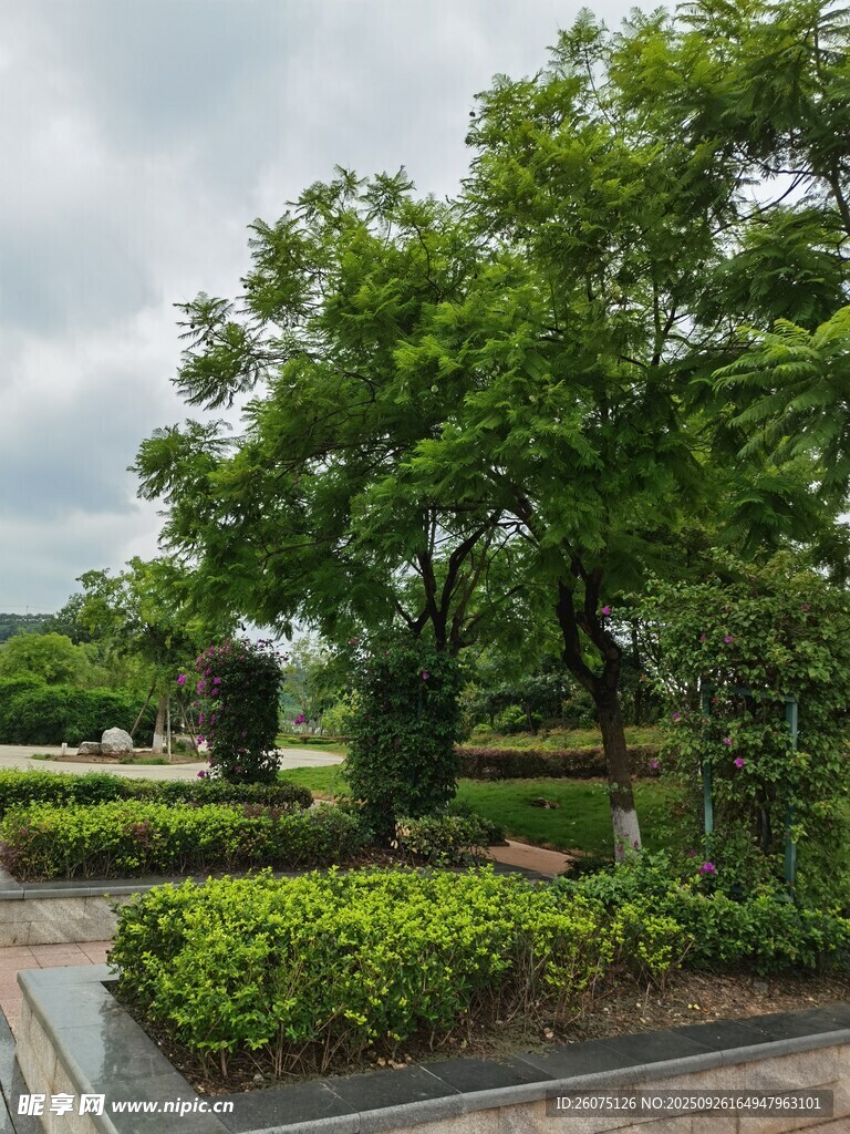 园林绿植景观