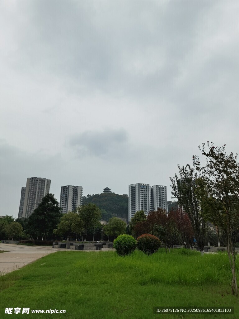 城市绿地旁的现代建筑群