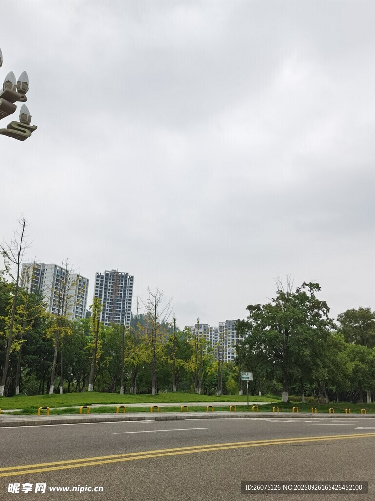 城市道路旁的绿树与高楼