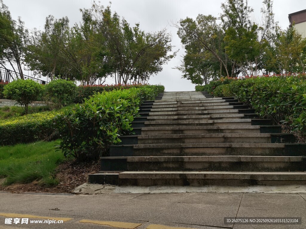 户外阶梯旁的绿植景观