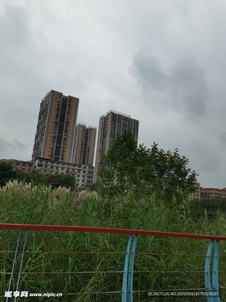 城市远景与绿植景观