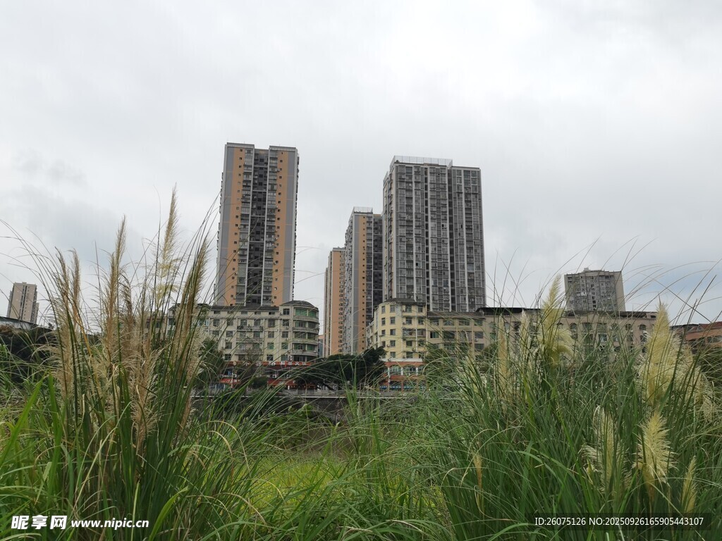 城市边缘的草地与高楼