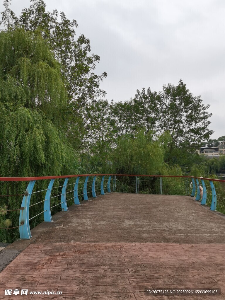 公园中式拱桥与绿植景致