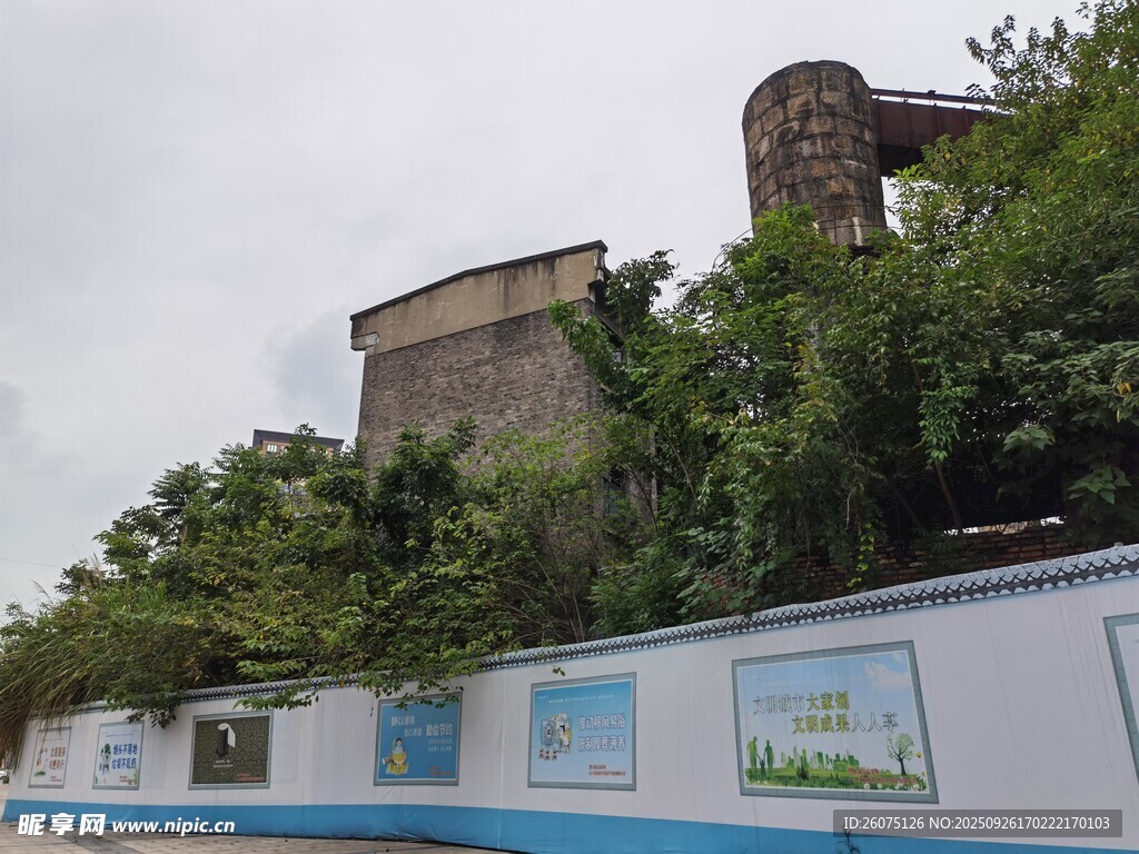 墙边绿植掩映的古老建筑