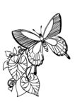 蝴蝶停驻于花叶间