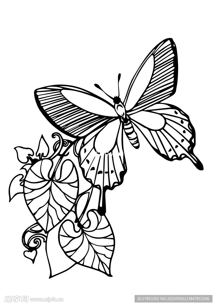 蝴蝶停驻于花叶间