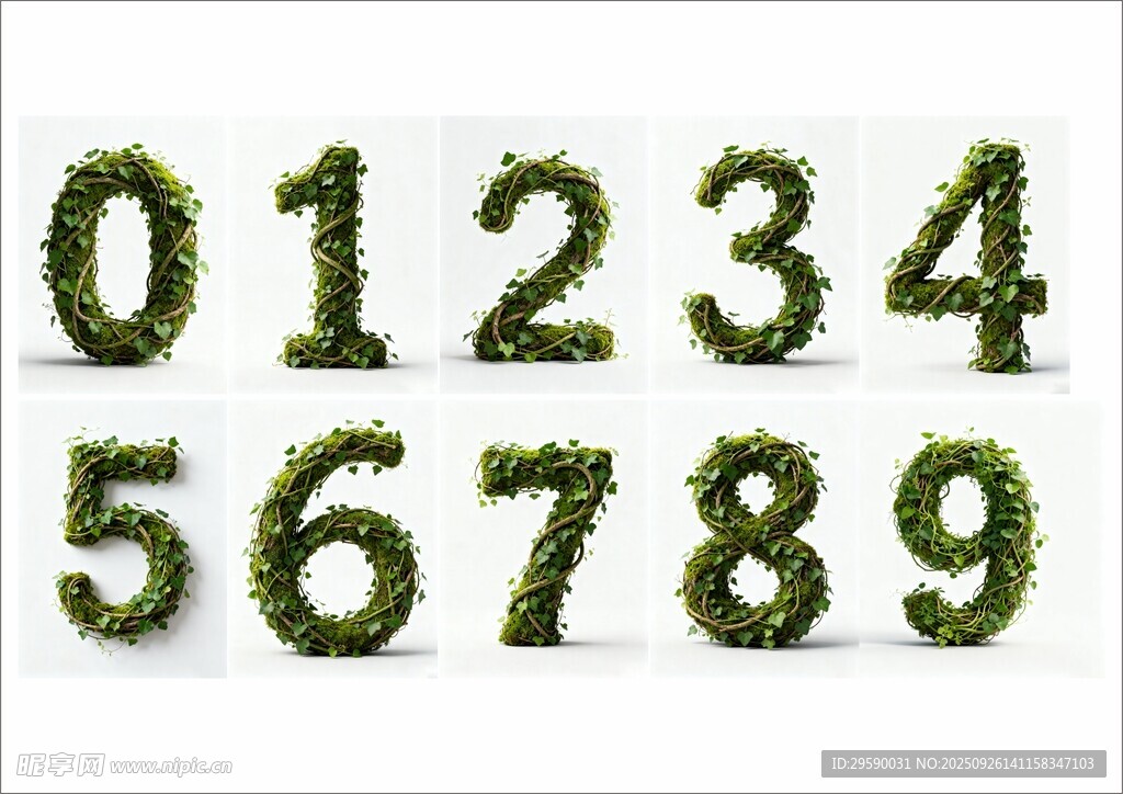 植物数字