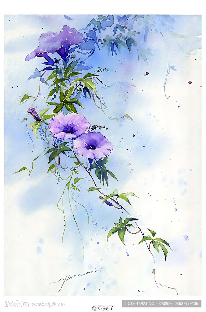 蓝紫色牵牛花藤蔓美景