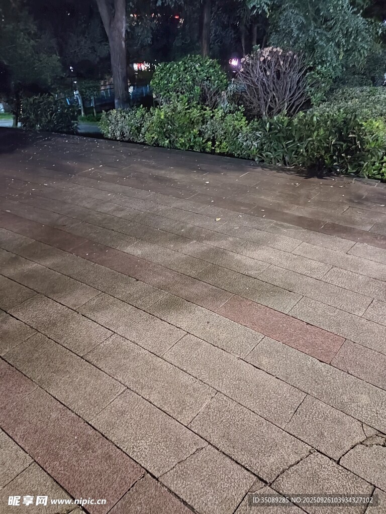 户外铺砖地面与绿植景观