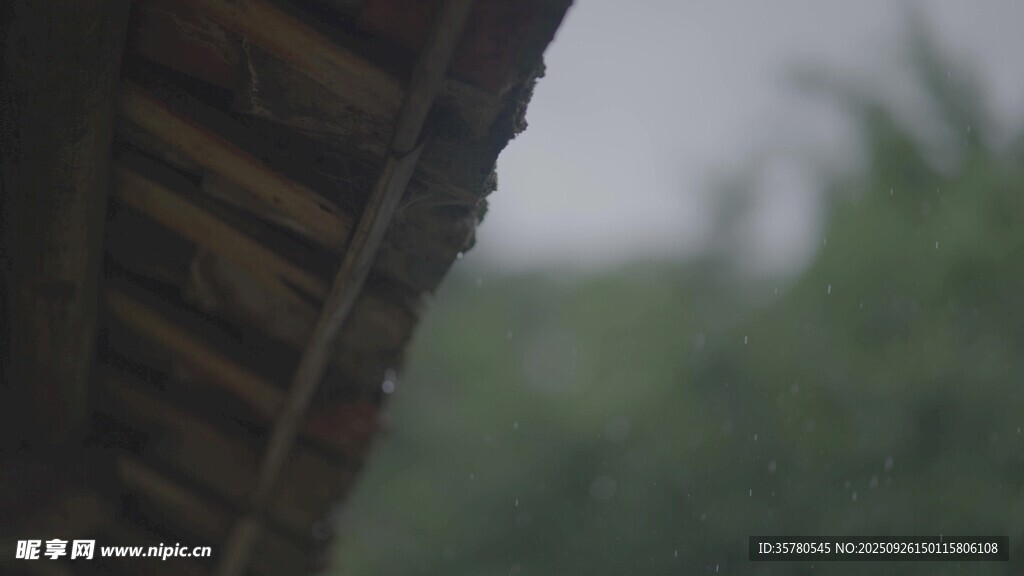 屋檐下的朦胧绿意