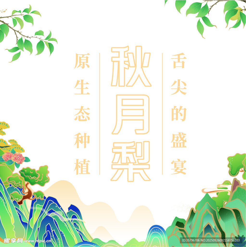 秋月梨原生态种植盛景