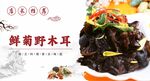 鲜菊野木耳美食展示