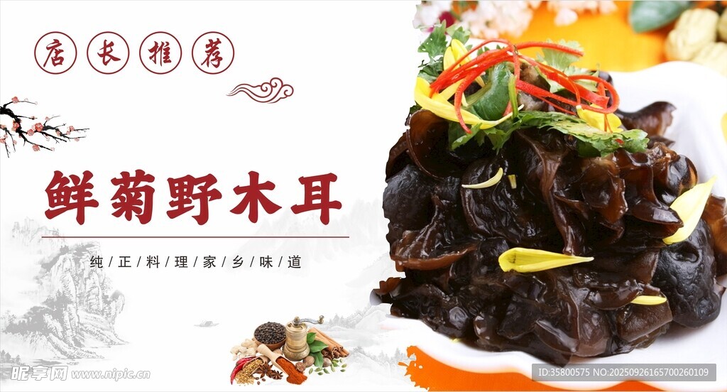 鲜菊野木耳美食展示