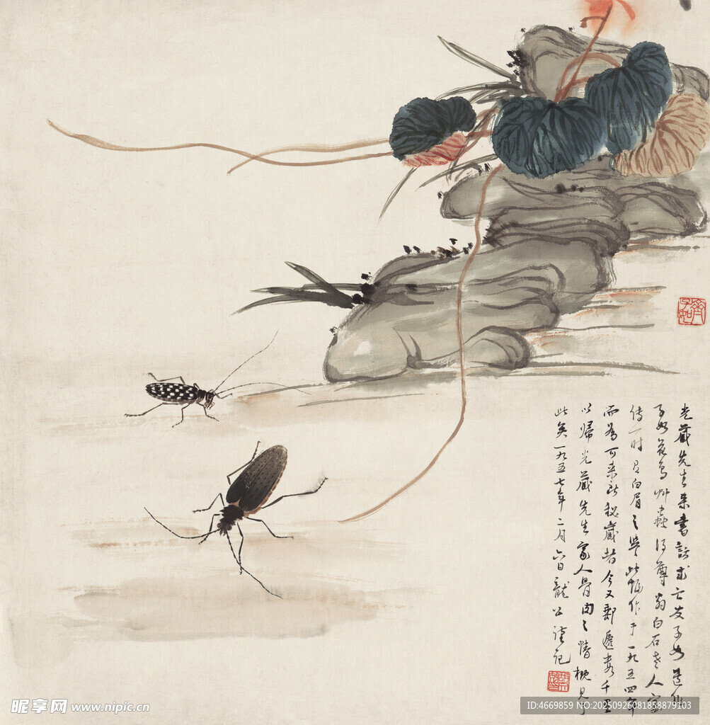 水墨虾趣图