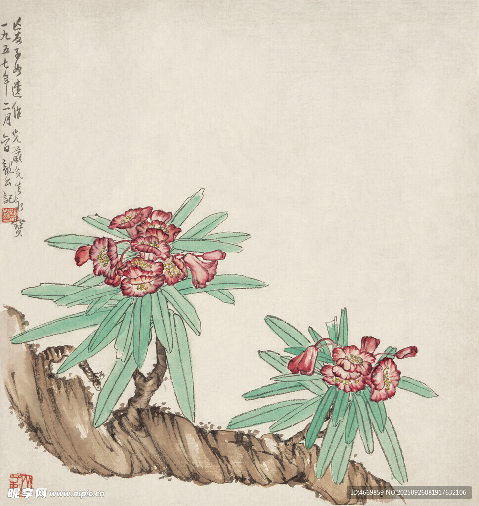 国画花卉图
