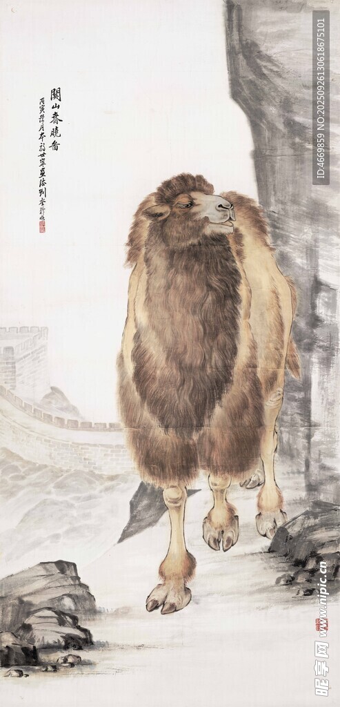 骆驼漫步于山水间