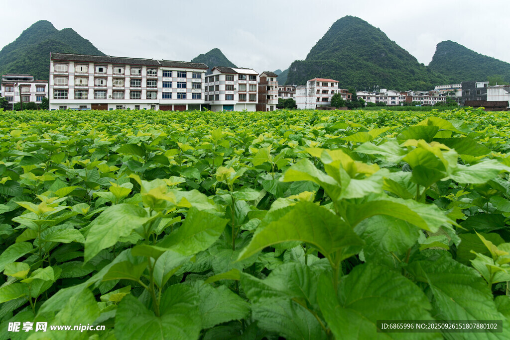 田园绿野旁的山间建筑