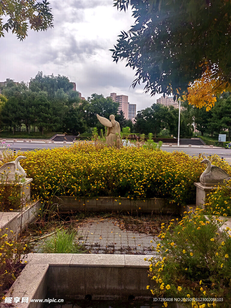 城市中的绿植景观角落