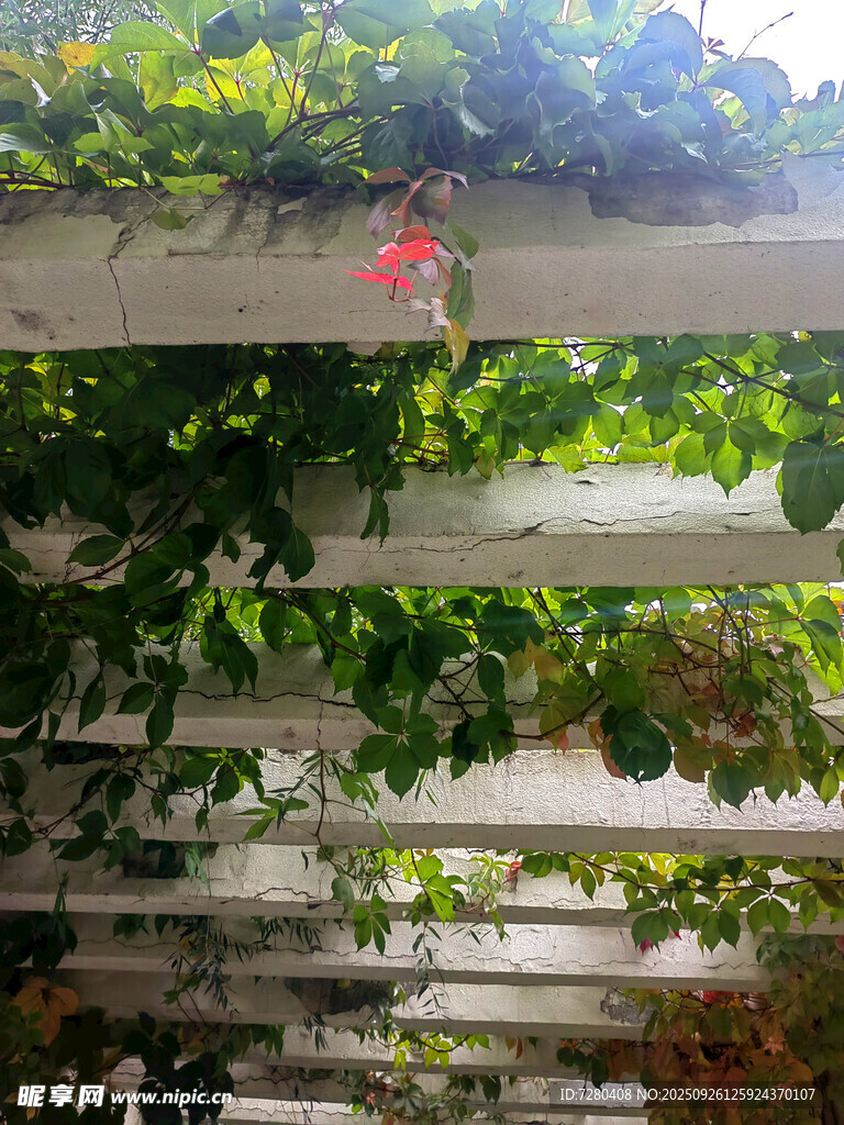 室内立体绿植栽培景观