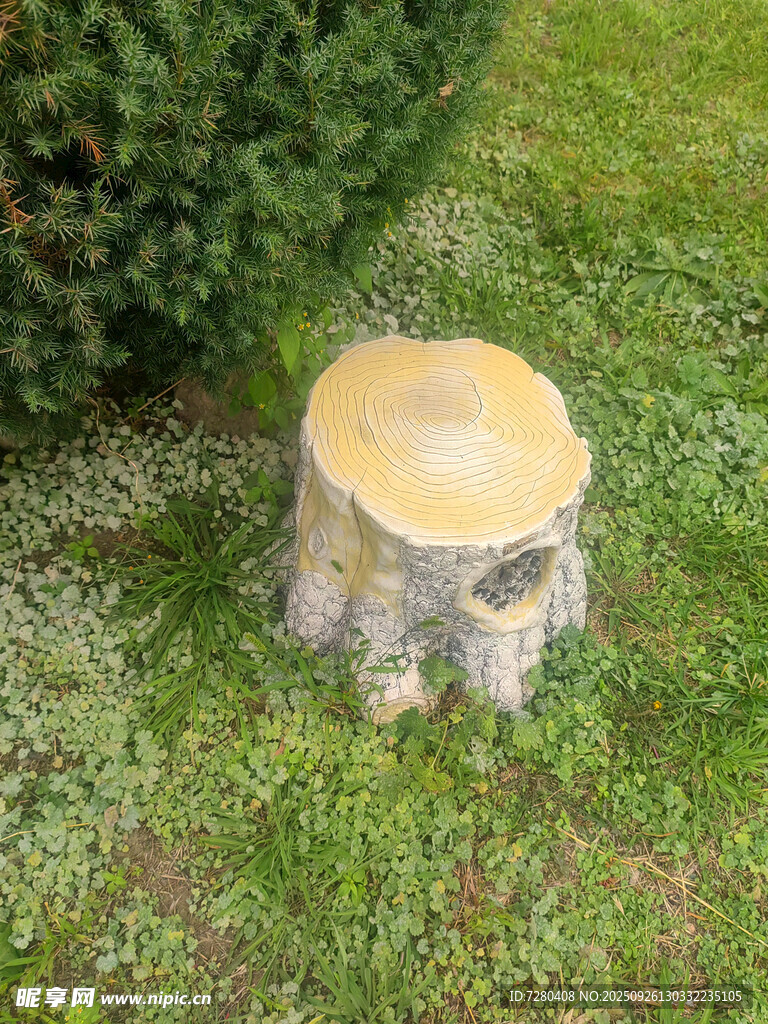草地上的树桩