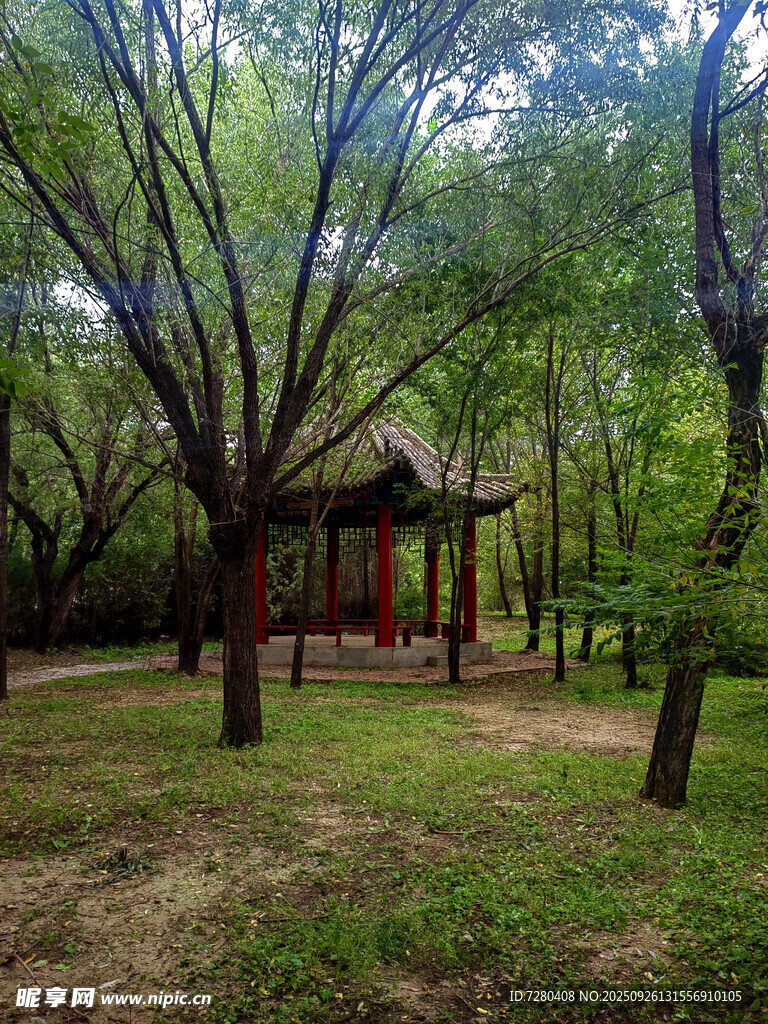 林间红亭静谧自然景致