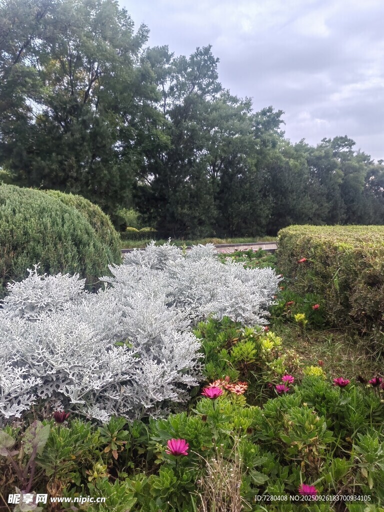 多彩花卉与绿植景观