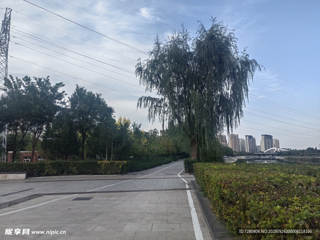 城市中的宁静林荫小道