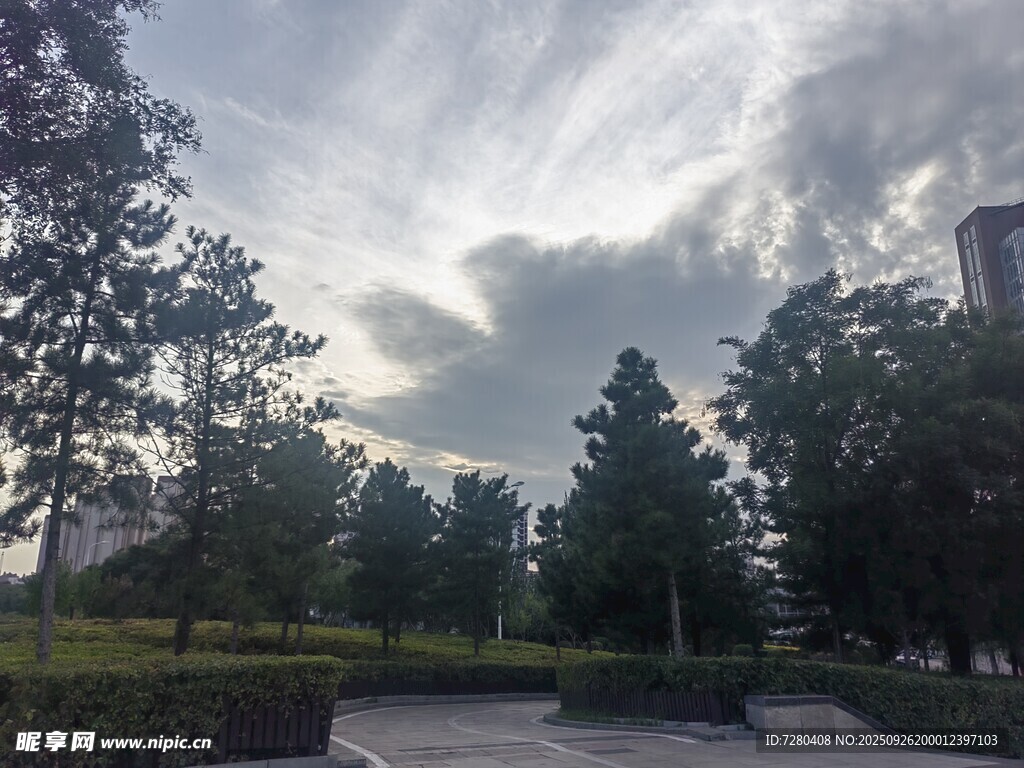 城市公园的宁静风景