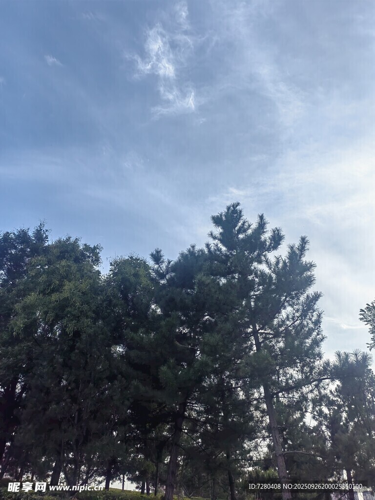 蓝天绿树风景图