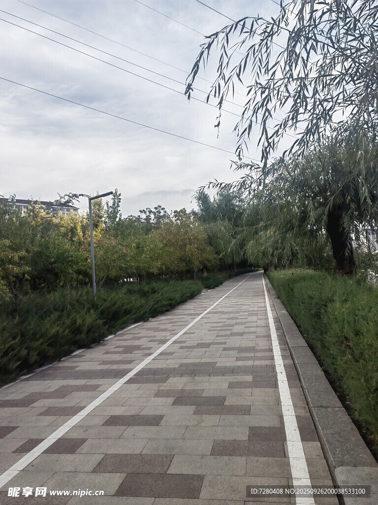 城市中的宁静步道