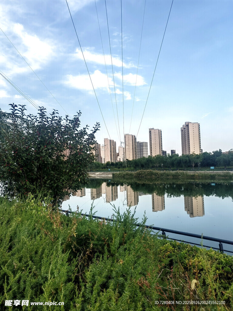 湖畔城市风光绿意盎然