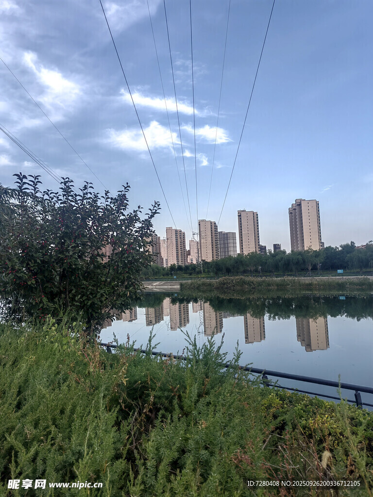 湖畔城市风光绿意盎然